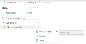 Adding an Azure Synapse Connector 9 Synapse Empty Script